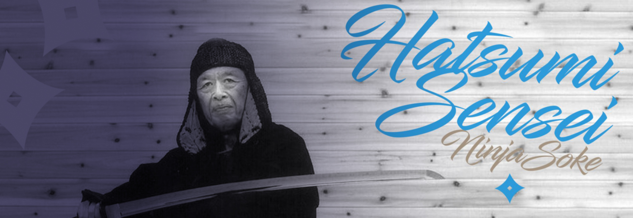 hatsumi sensei gran lider eterno bujinkan