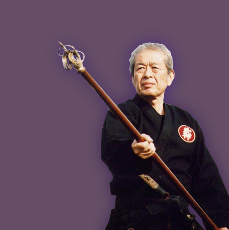 hatsumi sensei soke del ninja museum