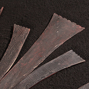 ninja exhibition ushirodate